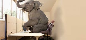 elephant room v2