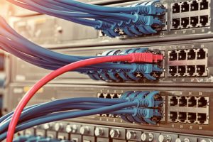 Network Adapter