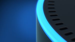 Voice