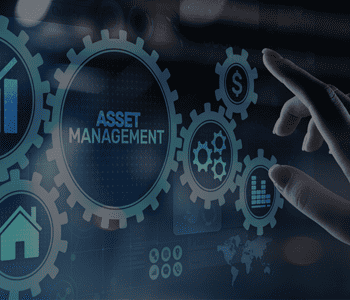 Software Asset Lifecycle Management