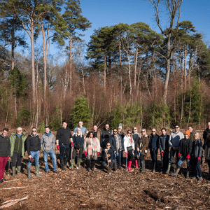 SCC and HP plant 500 trees in sustainability drive with Forestry England