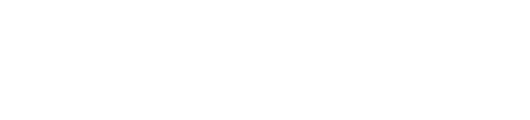 Zoom Logo