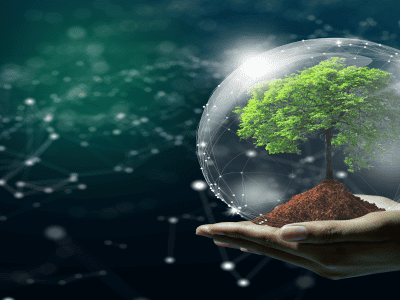 Maximising sustainability through data storage