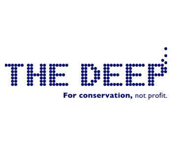 The Deep