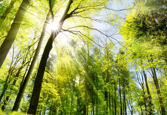 Try our DVaaS Calcuator