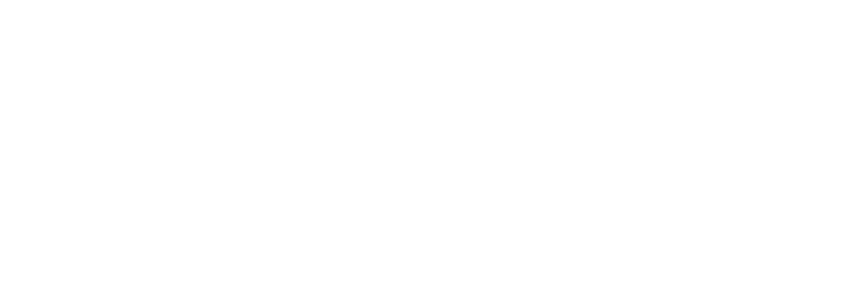 Assured Data Protection Logo